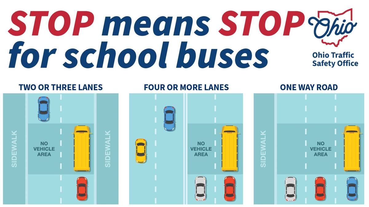 graphic of school bus safety that says "stop means stop for school buses"